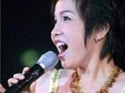 Bóng đá anh, ngoại hạng anh, lịch thi đấu euro 2012, Chương trình Gala "Chào Xuân mới"